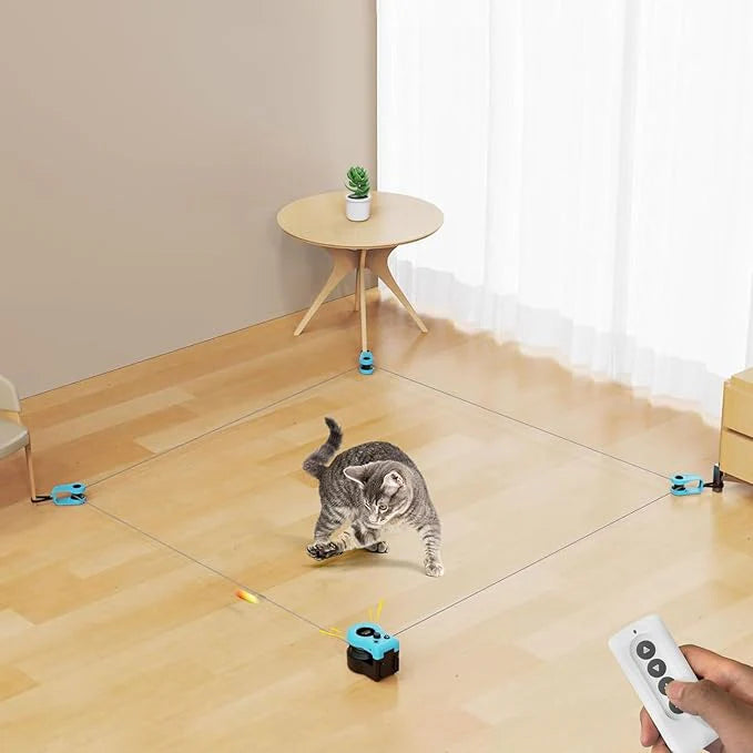Barksy™ The Chase Game