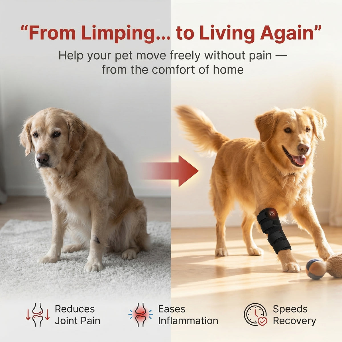 RedStep - Red Light Leg Brace