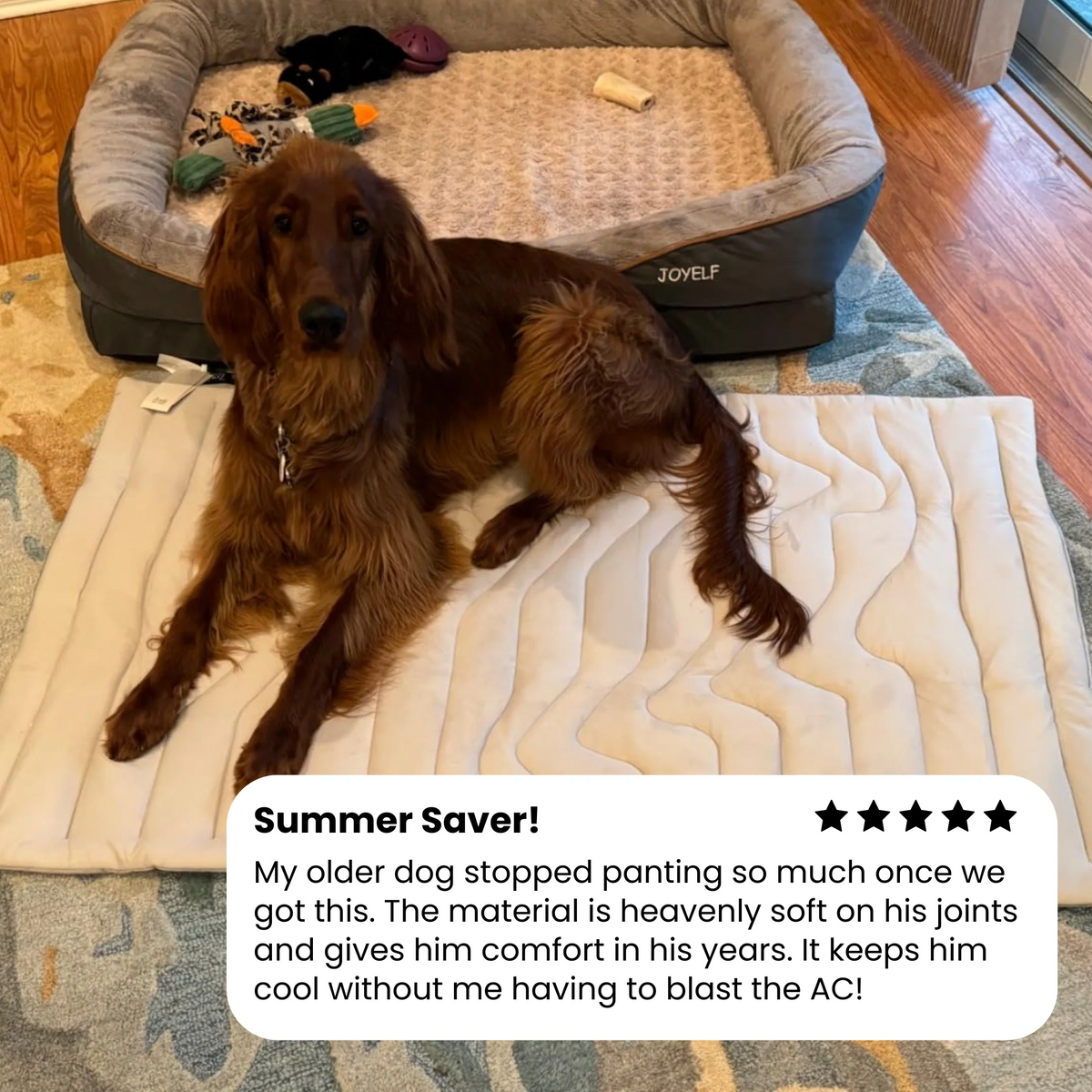 Barksy™ Dog Cooling Mat