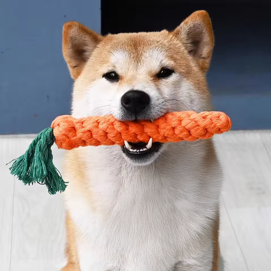 The Dog's Carrot - Bite & Chew Resistant